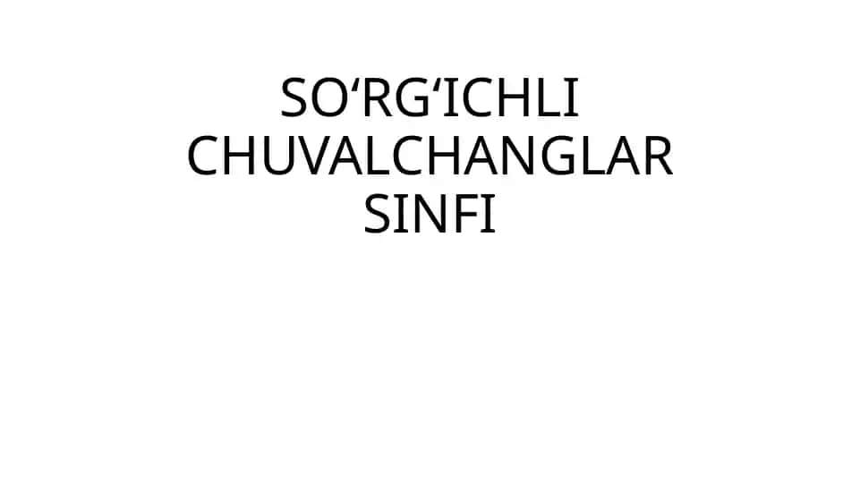So‘rg‘ichli chuvalchanglar sinfi