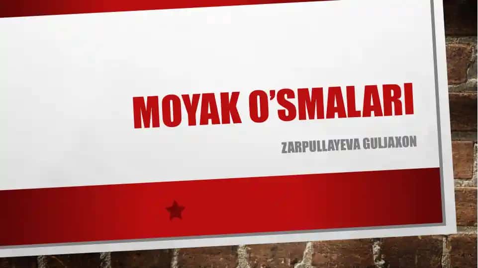 Moyak o’smalari