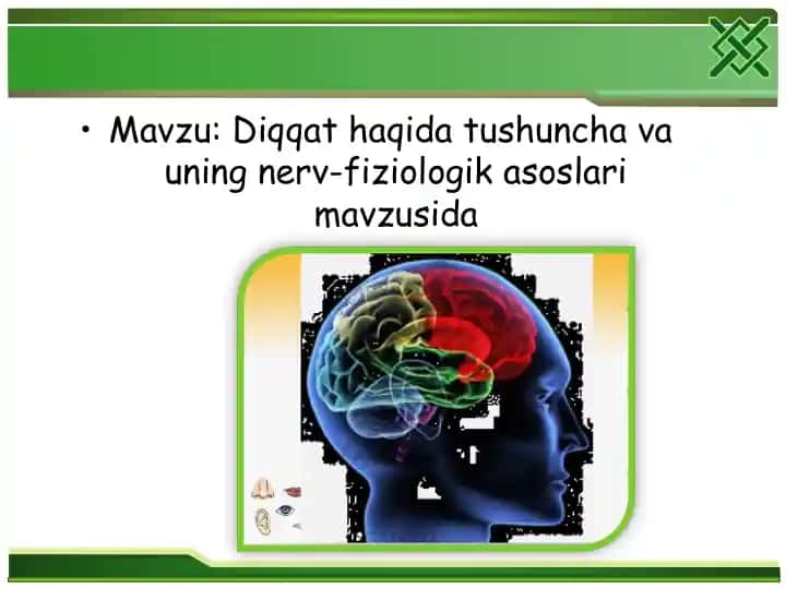 Diqqat tushunchasi va uning nerv-fiziologik asoslari