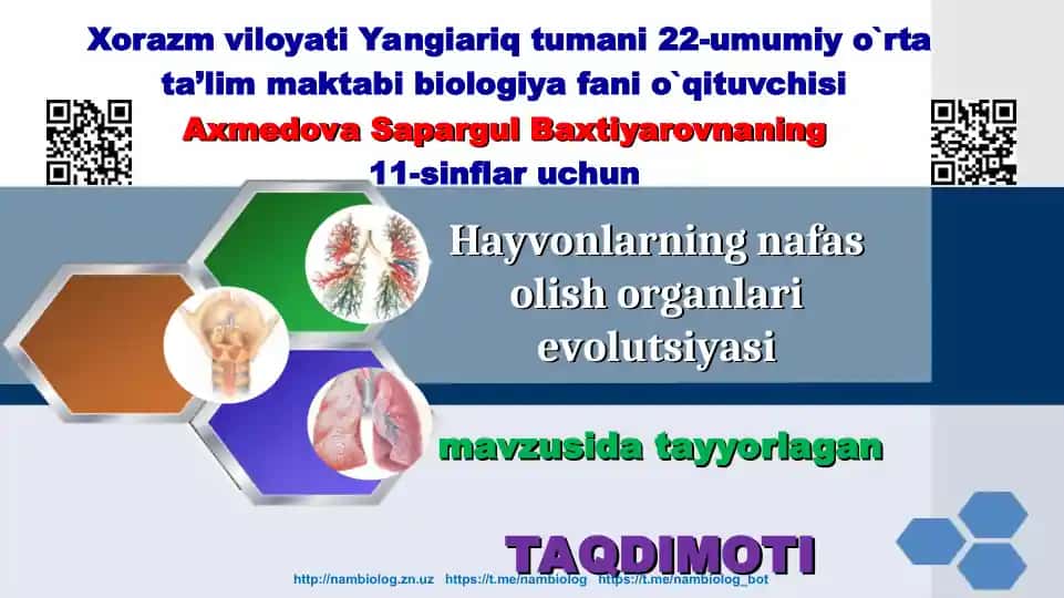 Hayvonlarning nafas olish organlari evolutsiyasi