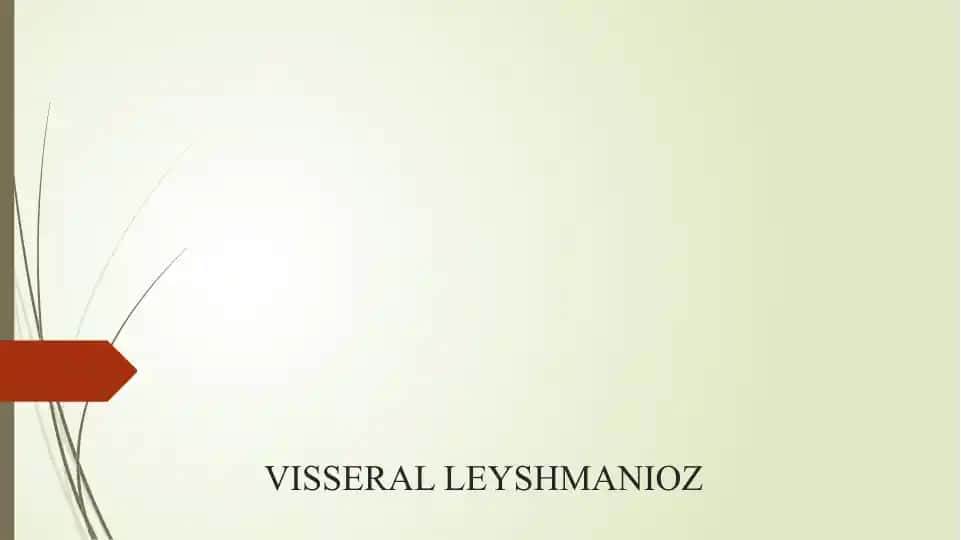 VISSERAL LEYSHMANIOZ