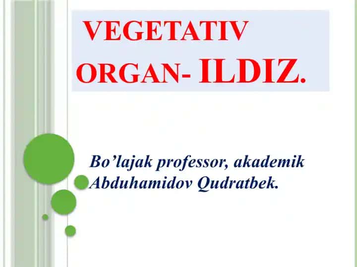 Ildiz - Vegetativ organ