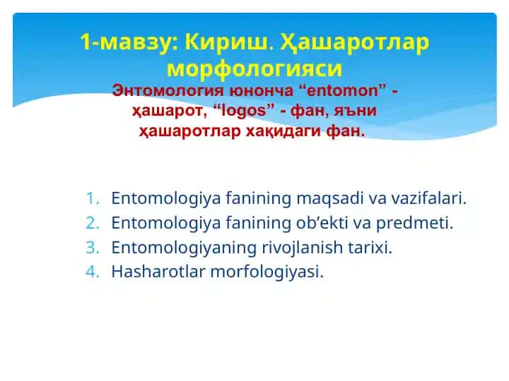 Entomologiya fani – kirish va hashаrotlar morfologiyasi