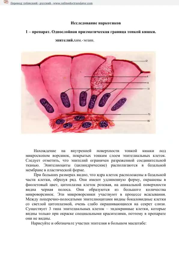 Исследование наркотиков