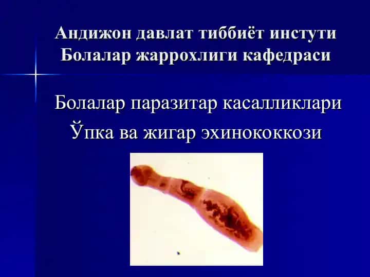 Ўпка ва жигар эхинококкози