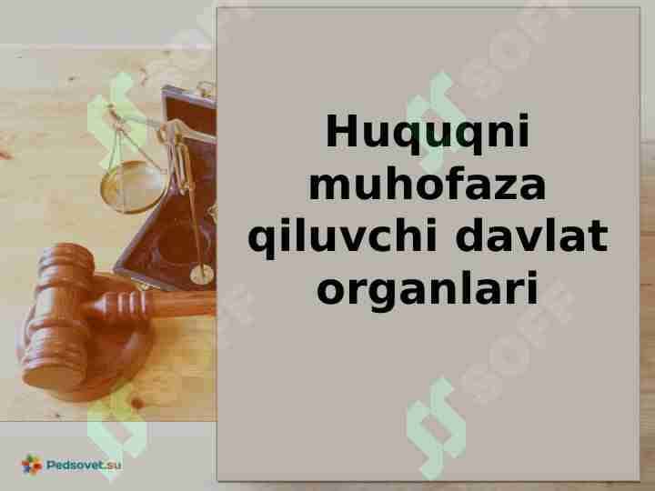 Huquqni muhofaza qiluvchi davlat organlari