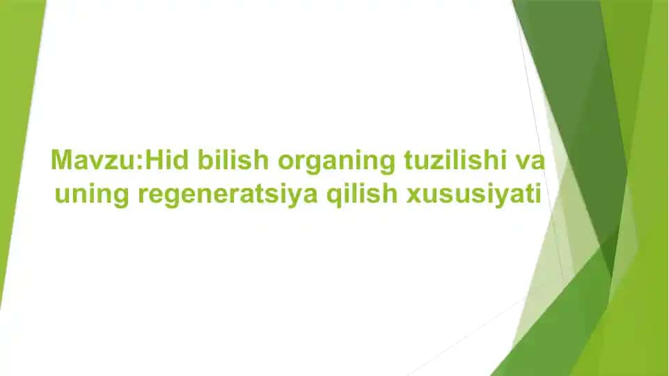 Hid bilish organing tuzilishi va uning regeneratsiya qilish xususiyati