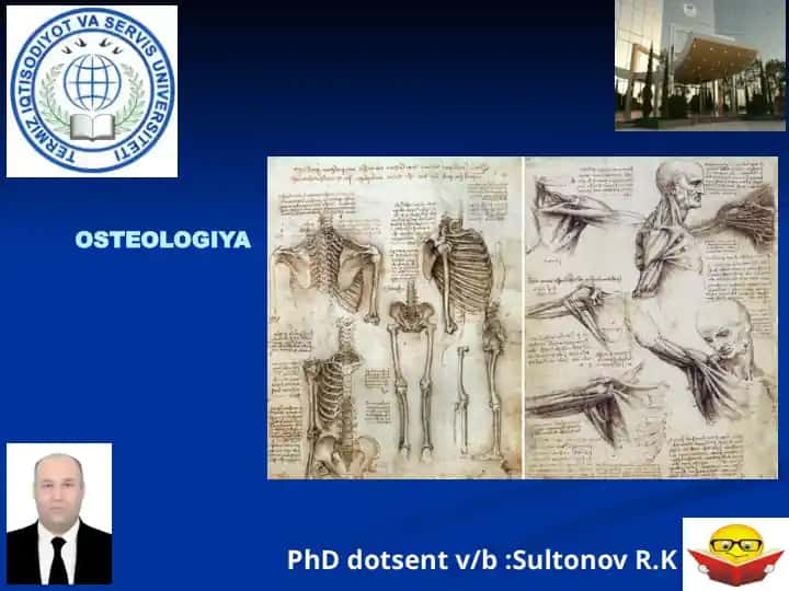 OSTEOLOGIYA