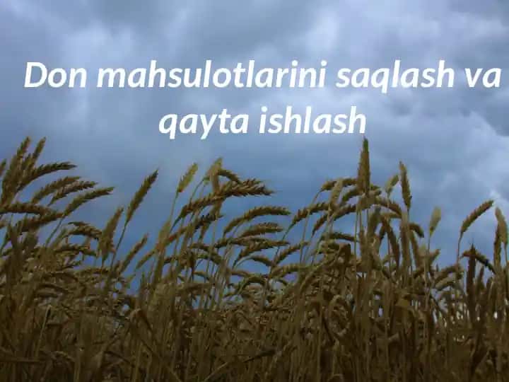 Don mahsulotlarini saqlash va qayta ishlash