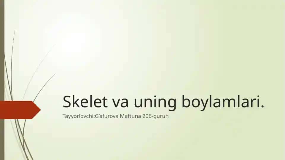 Suyak sistemasi. Odam skeleti
