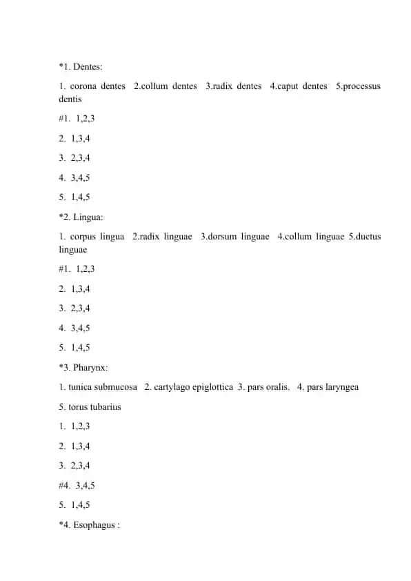 Intestinum tenue