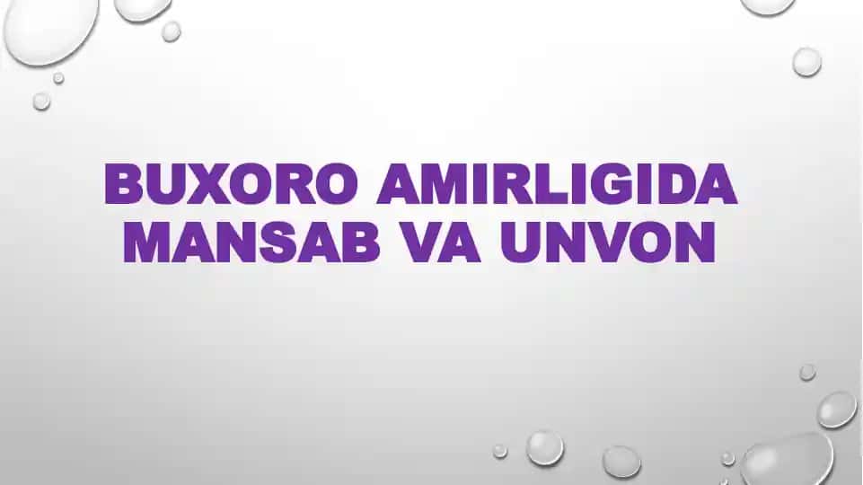 Buxoro amirligida mansab va unvon