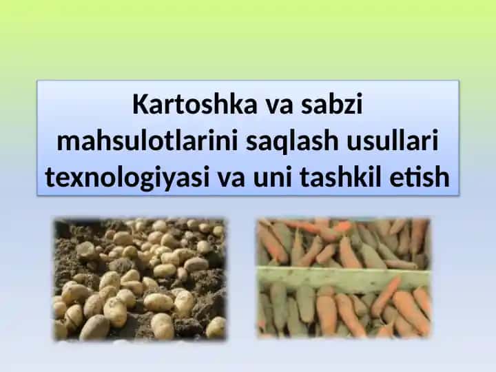 Kartoshka va sabzimahsulotlarini saqlash usullari texnologiyasi va unitashkiletish