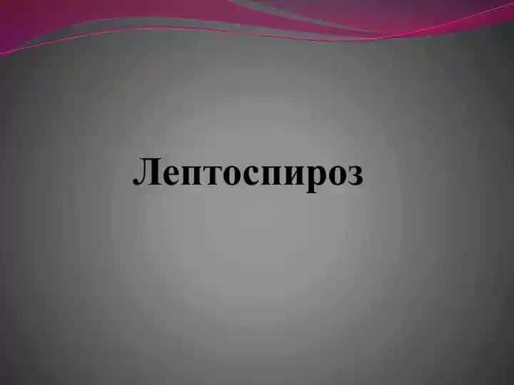 Лептоспироз