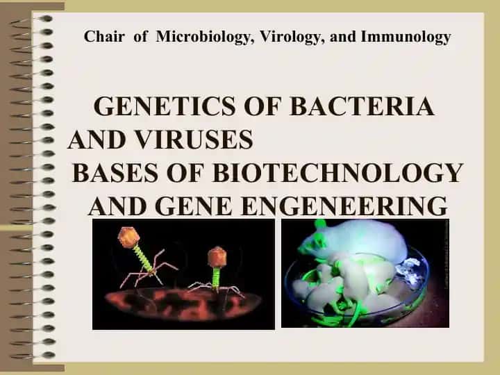 Genetics of Bacteria and Viruses