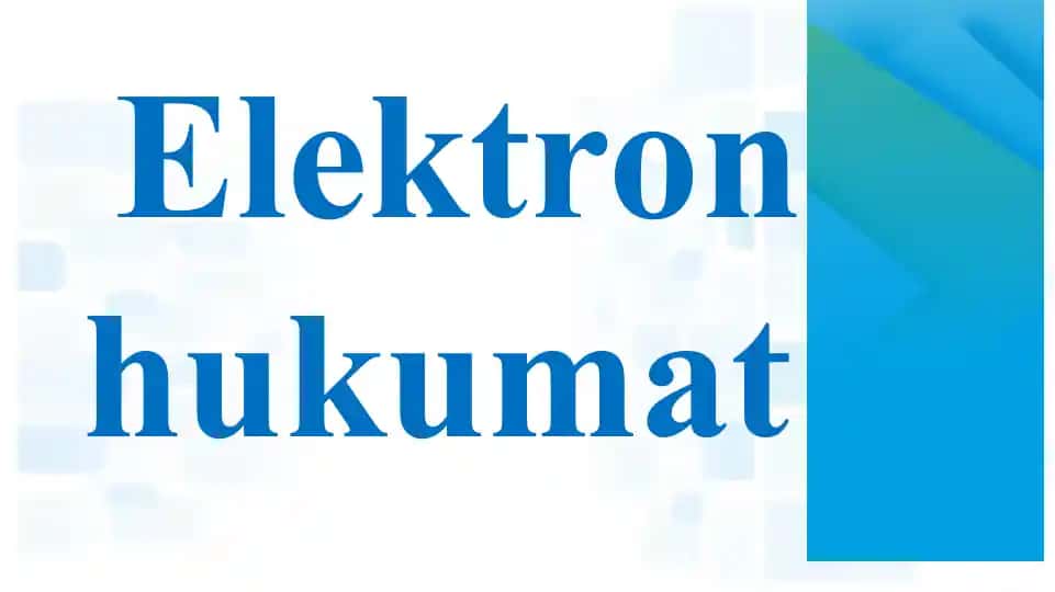 Elektron hukumat