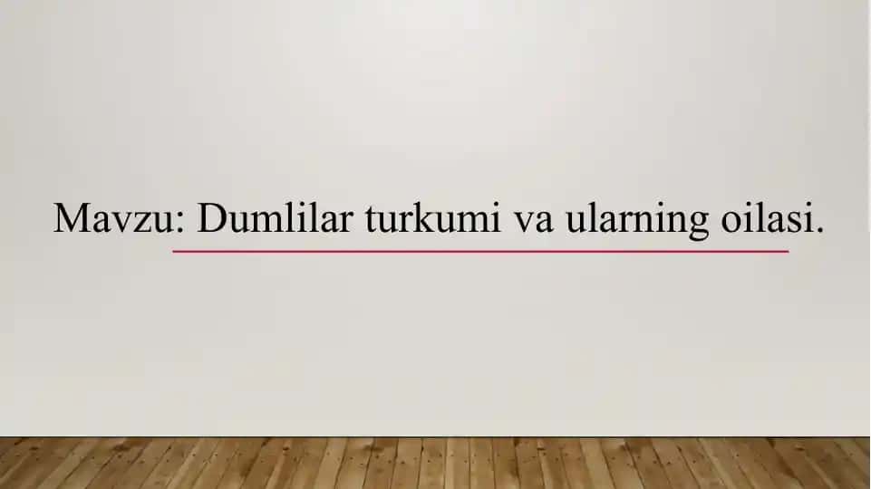 Dumlilar turkumi va ularning oilasi