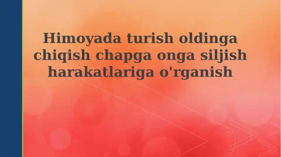 Mudofaa pozitsiyasining asoslari