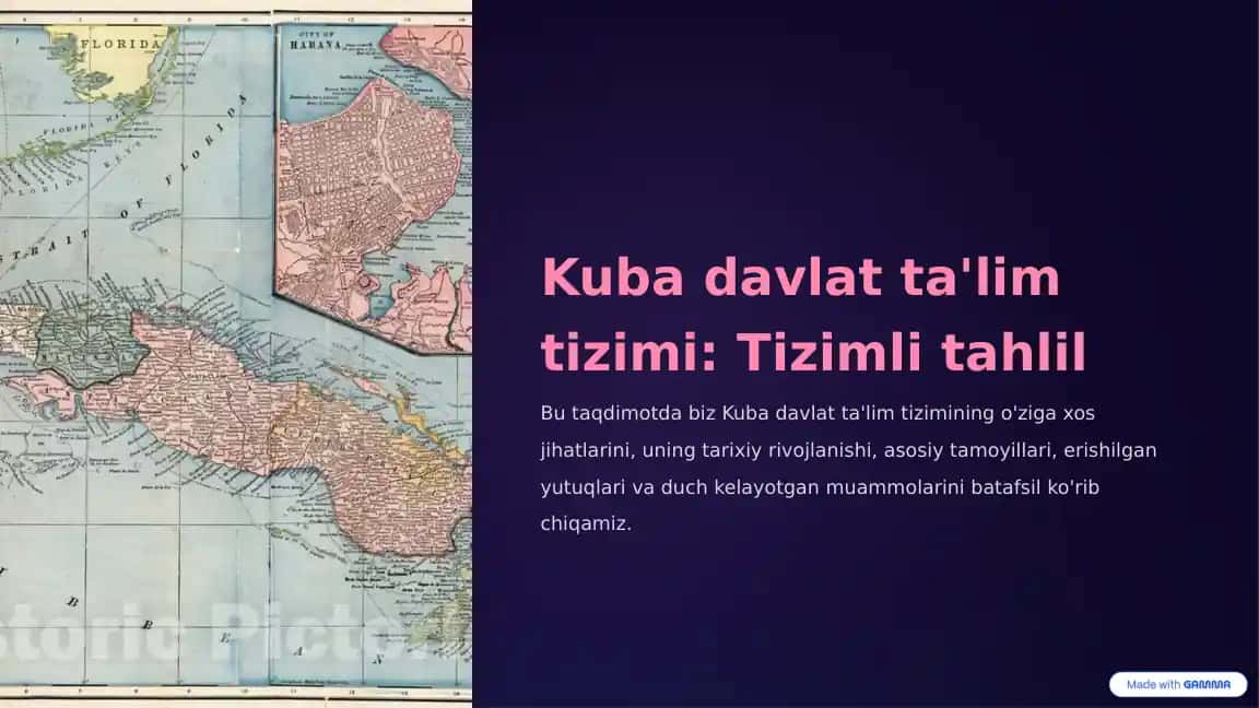 Kuba davlat ta'lim tizimi: Tizimli tahlil