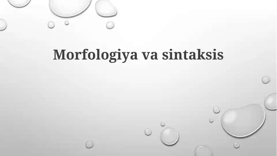 Morfologiya va Sintaksis