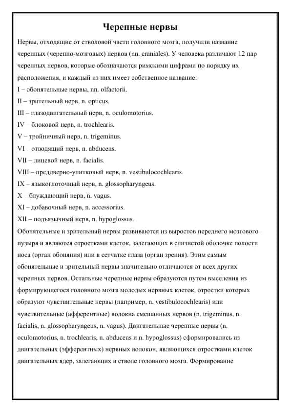 Черепные нервы