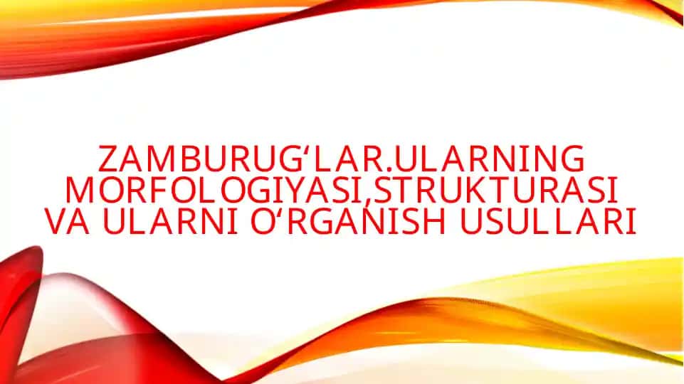Zamburugʻlar.Ularning morfologiyasi,strukturasi va ularni oʻrganish usullari