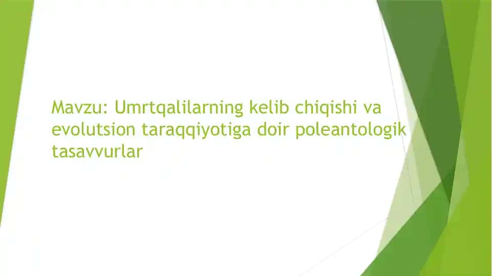 Umrtqalilarning kelib chiqishi va evolutsion taraqqiyoti