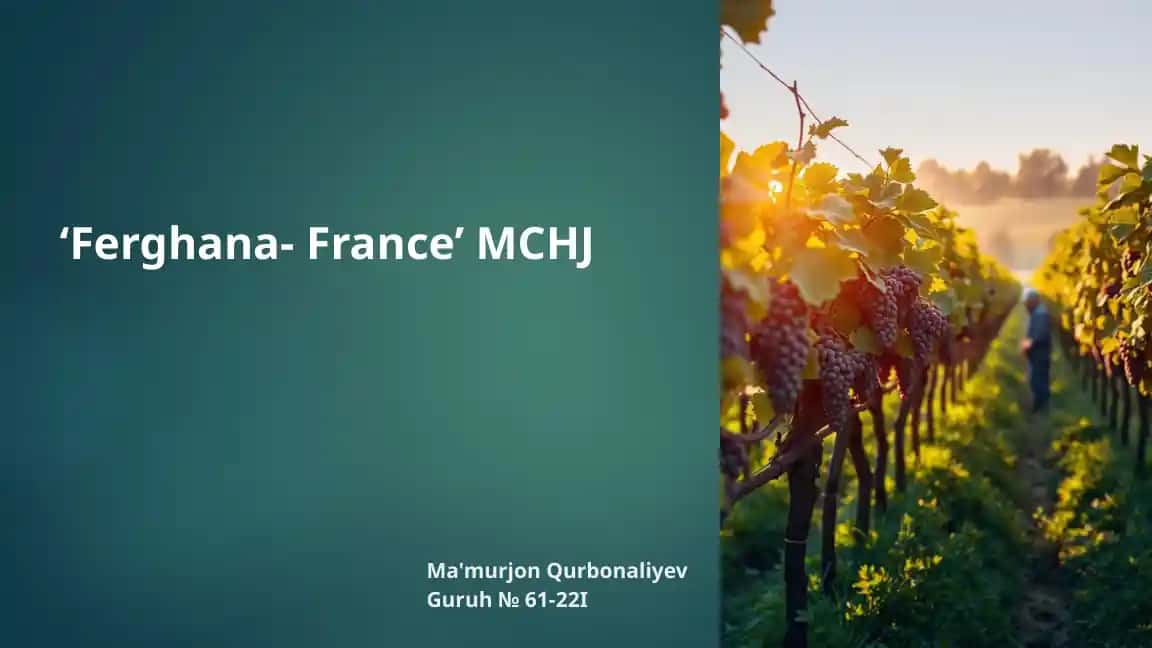 ‘Ferghana- France’ MCHJ