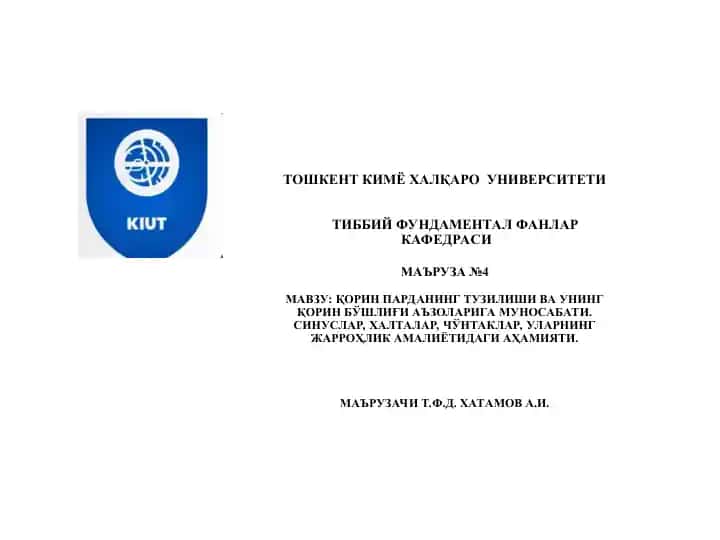 Қорин парда