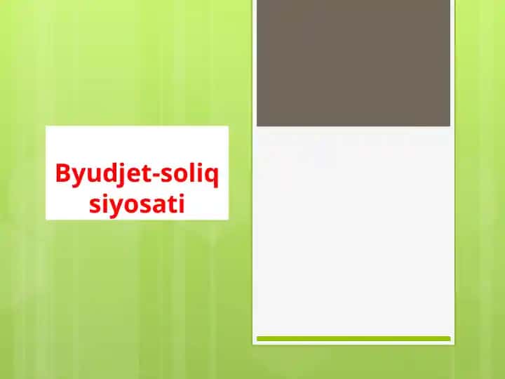 Byudjet-soliq siyosati