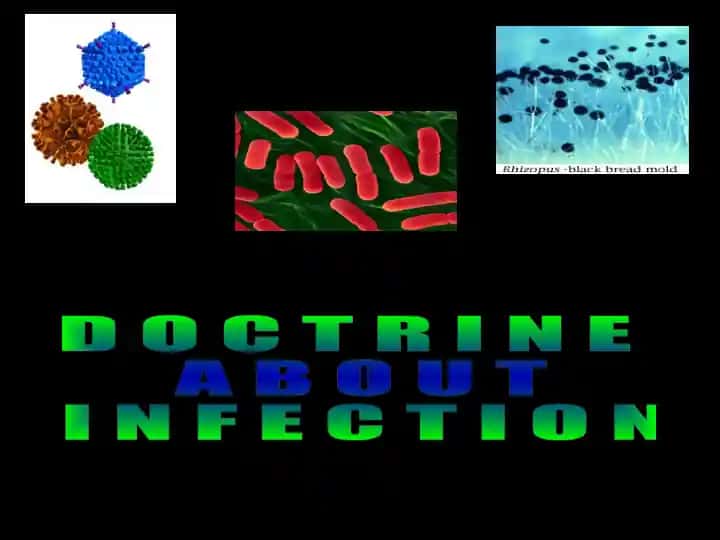 DOCTRINE ABOUT INFECTION