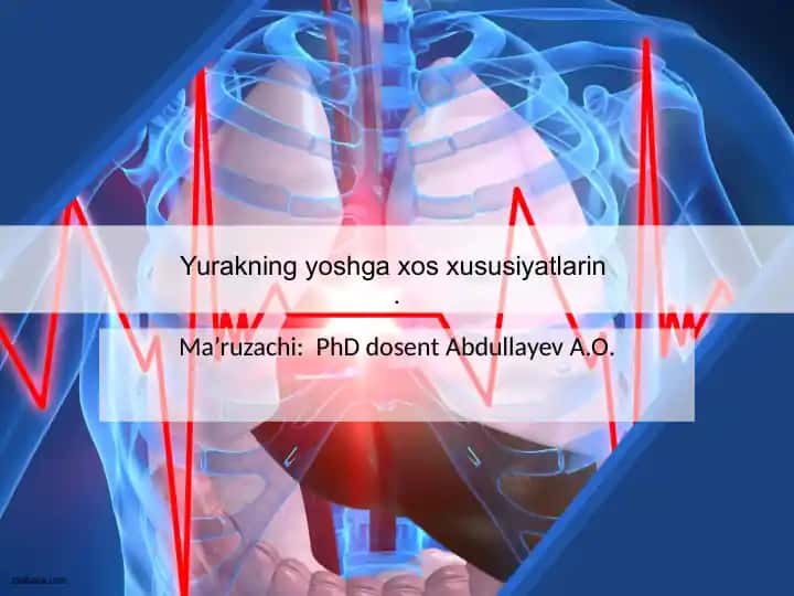Yurakning yoshga xos xususiyatlari