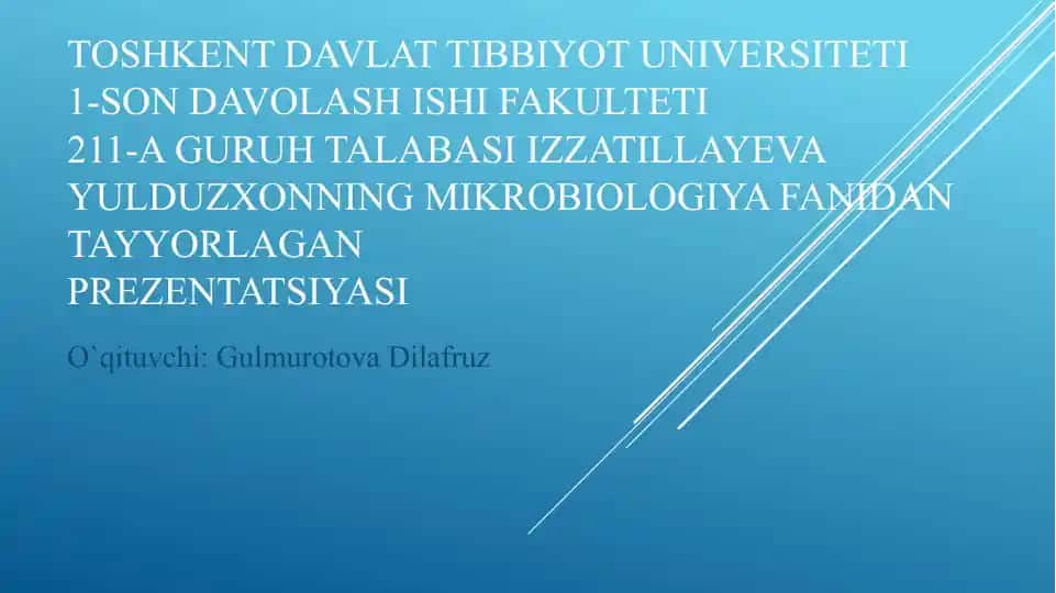 Soddajonivorlar