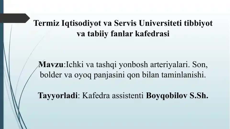 Ichki vatashqiyon bosh arteriyasi