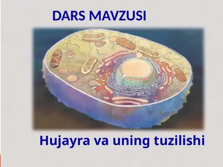 Biologiya dars mavzusi