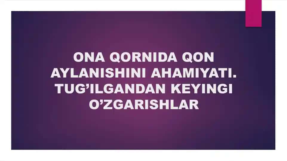 Yurakning rivojlanishi