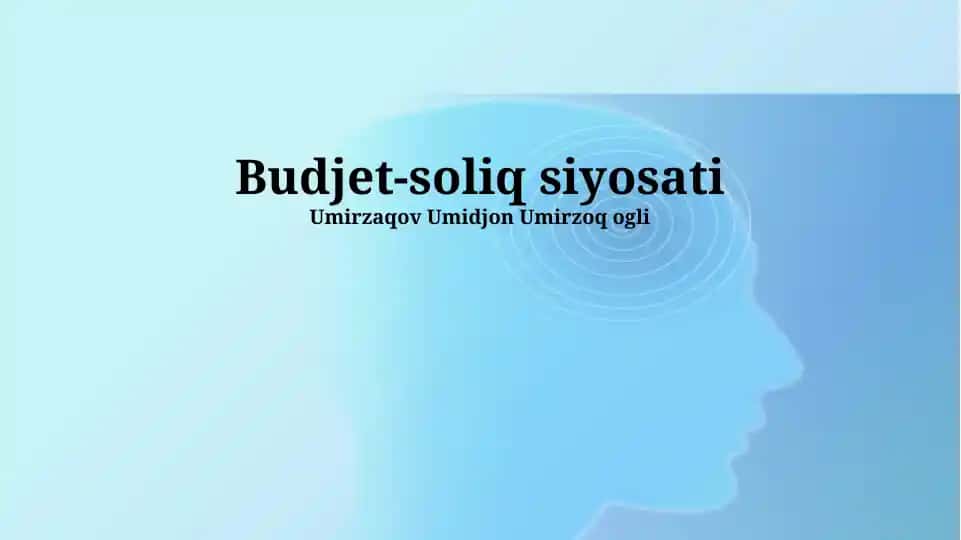Budjet-soliq siyosati