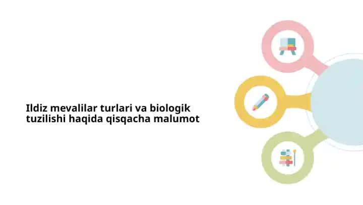 Ildiz mevalilar turlari va biologik tuzilishi haqida qisqacha malumot