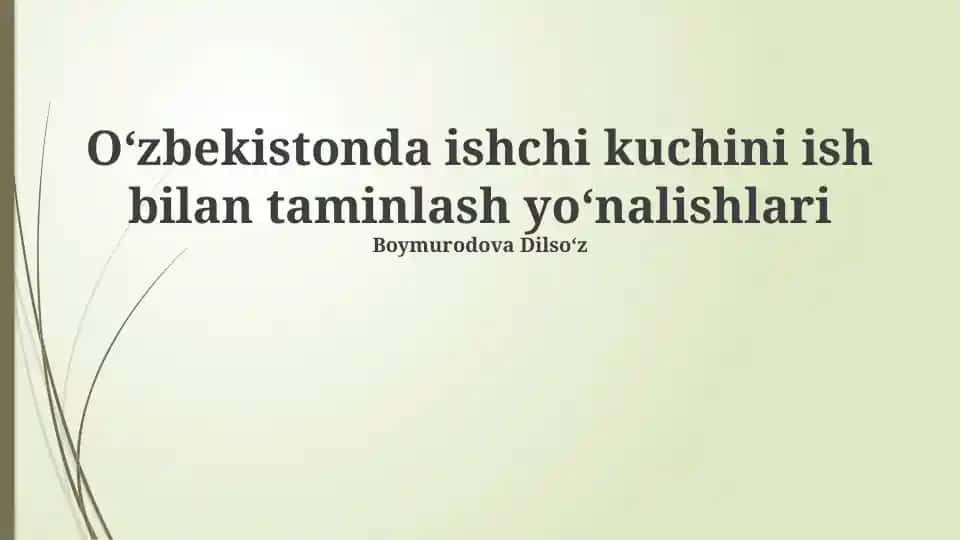 Oʻzbekistonda ishchi kuchini ish bilan taminlash yoʻnalishlari
