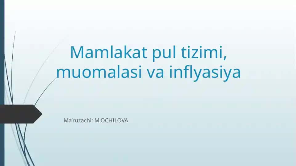 Mamlakat pul tizimi, muomalasi va inflyasiya