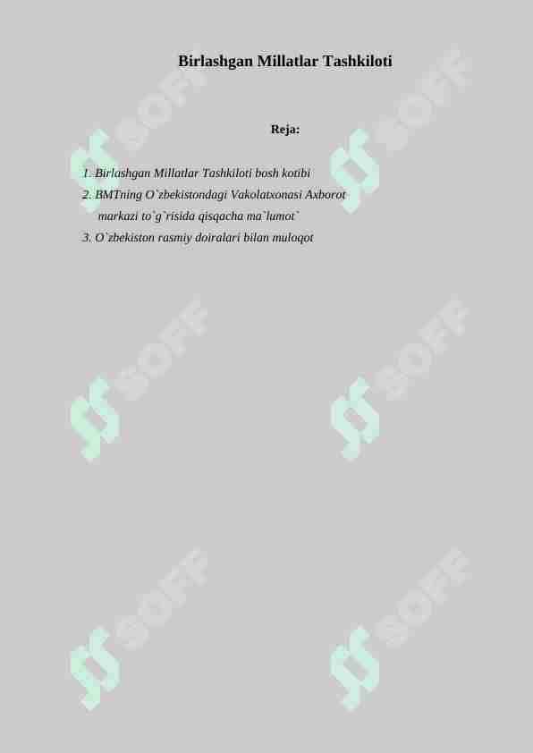 Birlashgan Millatlar Tashkiloti