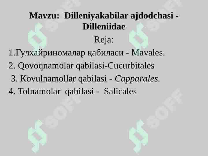 Dilleniya kabilar ajdodchasi - Dilleniidae