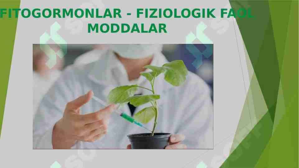 FITOGORMONLAR - FIZIOLOGIK FAOL MODDALAR