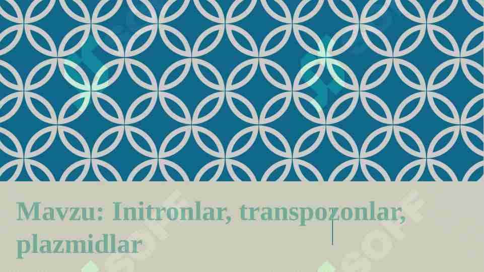 Initronlar, transpozonlar, plazmidlar