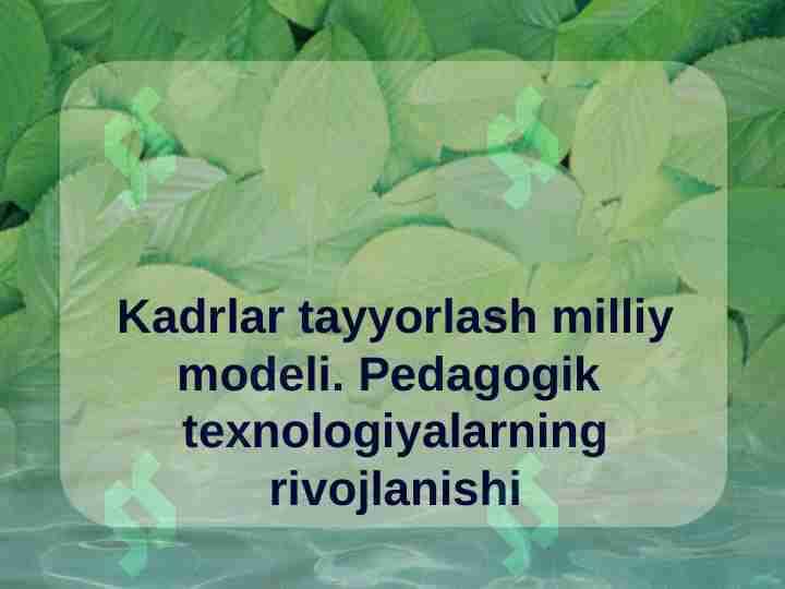 Kadrlar tayyorlash milliy modeli. Pedagogik texnologiyalarning rivojlanishi