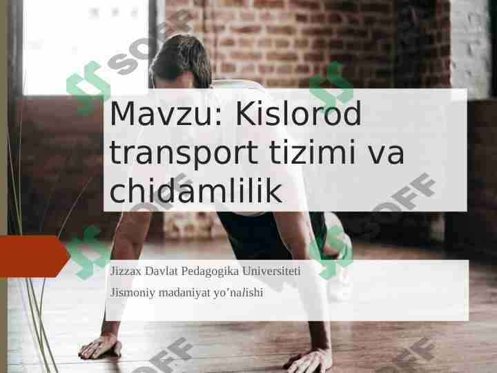 Kislorod transport tizimi va chidamlilik