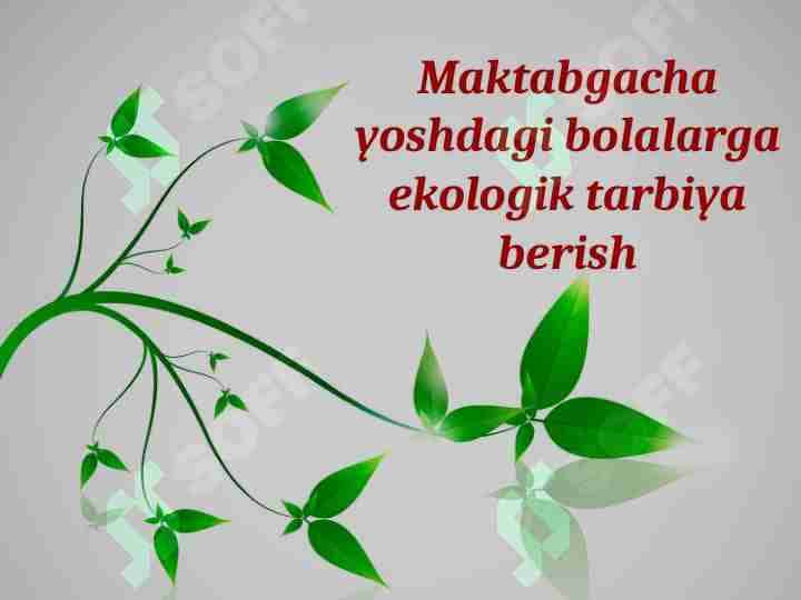 Maktabgacha yoshdagi bolalarga ekologik tarbiya berish