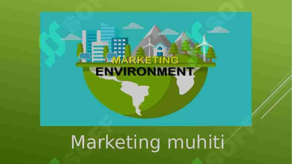Marketing muhiti