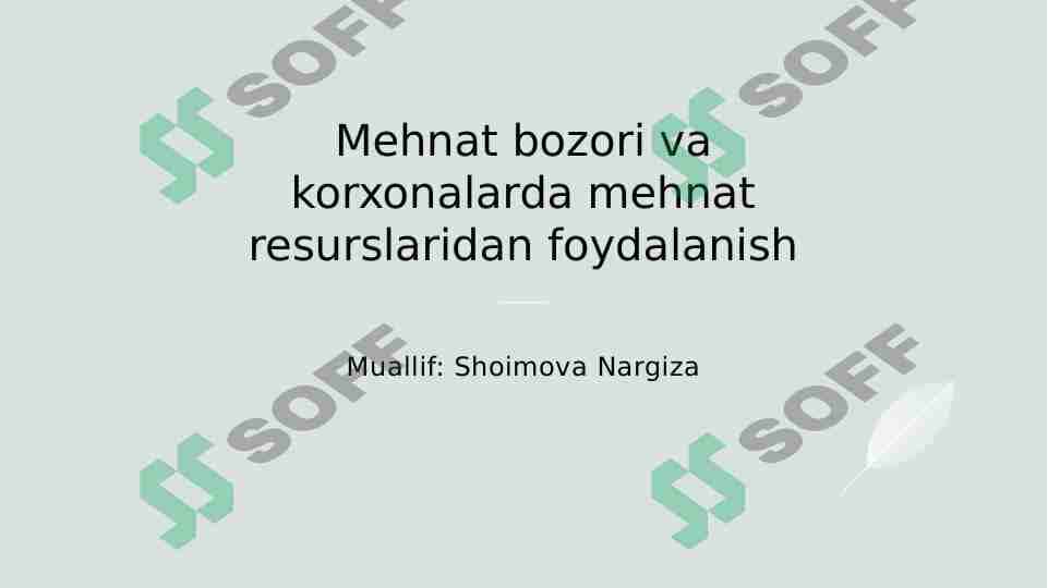 Mehnat bozori va korxonalarda mehnat resurslari