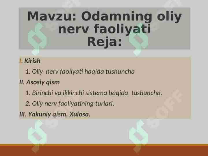 Odamning oliy nerv faoliyati